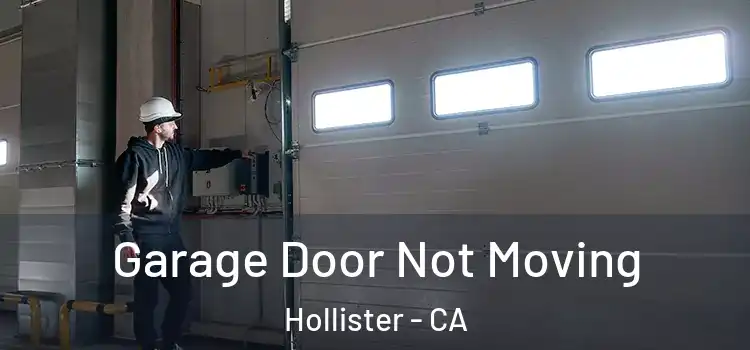  Garage Door Not Moving Hollister - CA