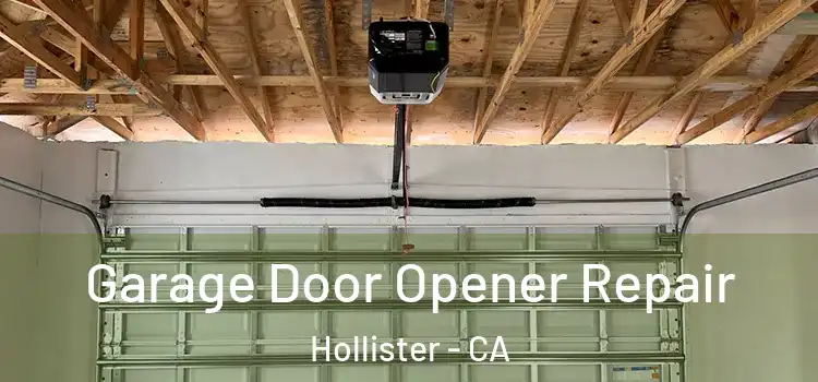  Garage Door Opener Repair Hollister - CA