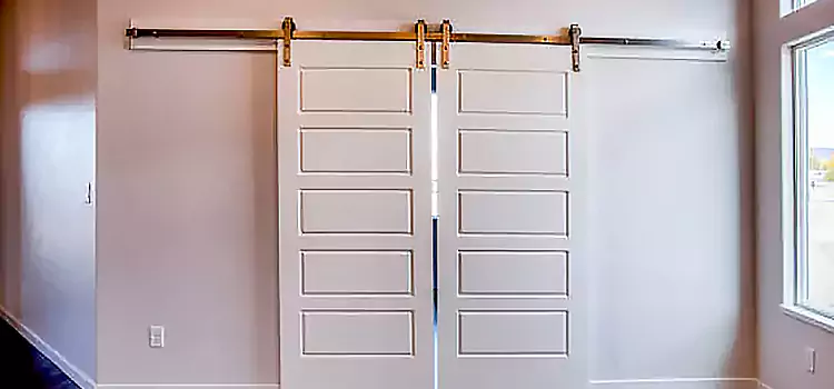 Glass Barn Door with Installation Hardware Kit Hollister