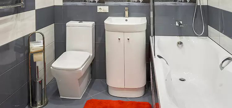 Hansgrohe Shaving Mirror Hollister