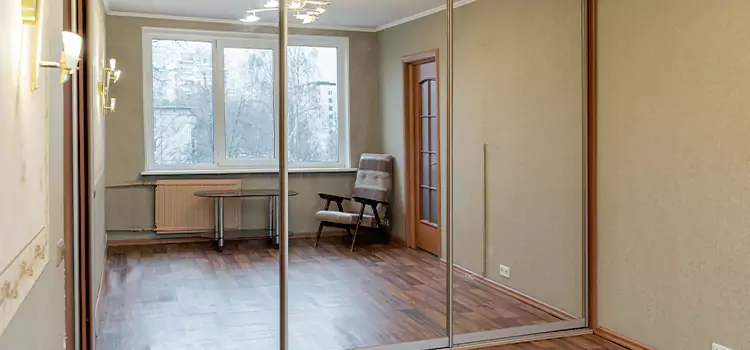 Mirror Closet Door Roller Replacement Hollister